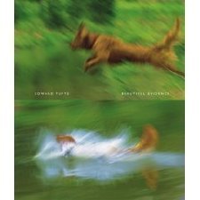 Beautiful Evidence [Hardcover] [2006] 1St Edition Ed. Edward R. Tufte