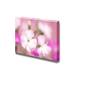 Flower of Pink Wall Decor