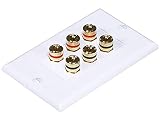 Monoprice 103538 Banana Binding Post Two-Piece Inset Wall Plate for 3 Speakers