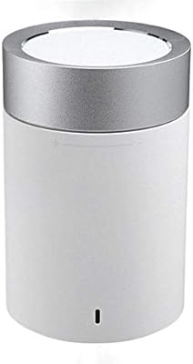 mi pocket speaker price