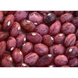 Seeds and Things Dixie Speckled Butter pea 50+ Seeds Fast Grower and High Yielder Seeds and Things Dixie Speckled Butter pea 50+ Seeds Fast Grower and High Yielder
