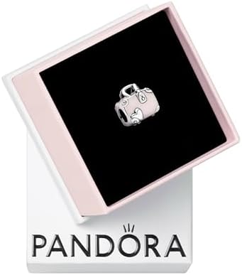 Amazon.com: PANDORA Openable Passport Dangle Charm - Compatible