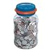 Coin-Counting Money Jar