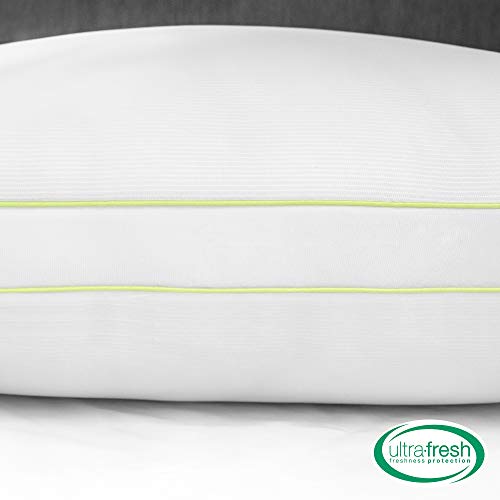 BioPEDIC 2 Pack UltraFresh Luxury Gusseted Pillow with Nanotex Coolest