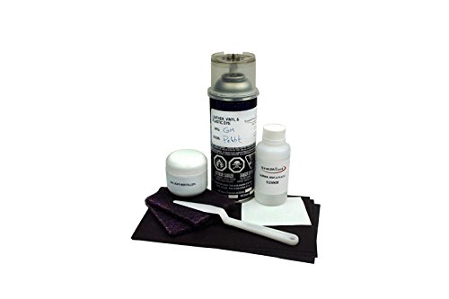 Automotive Interior and Restoration Dye for 2010 Volkswagen Toureg Beige - 1704 by Scratchwizard (Leather Repair Kit)
