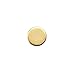The Paragon Magnetic Weight Loss Earring - Ear Acupressure, Weight Loss Jewelry for Women or Men
