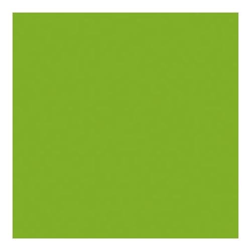 Rosco Roscolux Pea Green, 20x24" Color Effects Lighting Filter