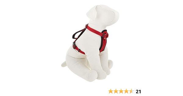 amazon kong harness