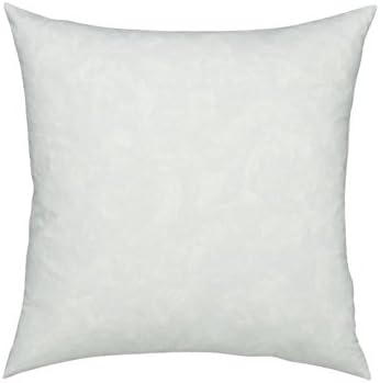Ezmarts Pillow Insert Sham Form Cushion, Square, 20" L x 20" W