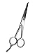 Boslion Barber Hair Cutting Scissors/Shears, Stainless Steel