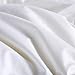 Wake In Cloud - Goose Down Comforter/Duvet Insert, 100% Cotton Shell, All Seasons 750+ Fill Power, 8 Tabs at Corners and Midpoints (White, Full Size)
