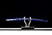 Mastergoswords 41'' Real Samurai Sword Sharp Blade Battle Ready Katana Handmade Japanese Sword with Blue/Red Scarbard