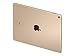 Apple 9.7-Inch iPad Pro Wi-Fi, 9.7