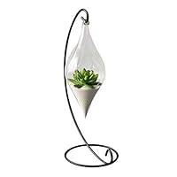 Hanging Glass Vase Hanging Terrarium Hydroponic Plant Flower Clear Container Indoor Hanging Vase Home Decor,Clear