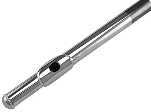 Trevor James 10X Flute with Curved & Straight Headjoints