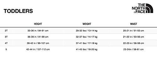 1 North+Face+Toddler+Thermoball+Turquoise