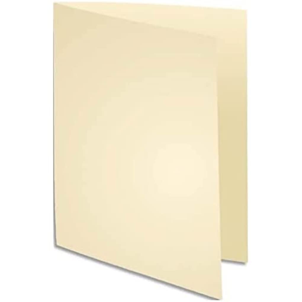 Paquet 100 chemises nature future jura 250