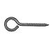 Lehigh 5/16 x 4-1/8 inch Stainless Steel Screw Eyes (6-Pack)