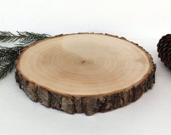 Hampton Art Bark Coaster Wood Slices 3.5 in. to 4 in. Live Edge Rustic Wedding and Craft Pack of 4