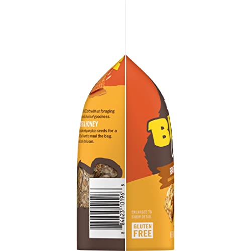 BEAR NAKED GRANOLA BITES, VEGETARIAN, GLUTEN FREE SNACKS, PEANUT BUTTER AND HONEY, 7.2OZ BAG (1 BAG)