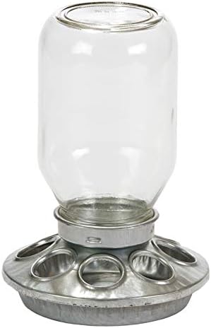 Amazon Com Little Giant Mason Jar Baby Chick Feeder Garden