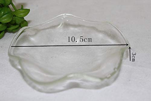 1 Piece of Clear Glass Wavy Dish Replacement Large 4''x1.2'' Plate Bowl Lid Tray for Aroma Therapy Lamp and Tart Wax Melt Warmers Electric Oil Aromatherapy Burner