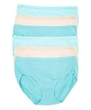 Hanes 6 Pack Plus Size Cotton/Spandex Hipsters (10/3XL, 6 Pack)