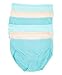 Hanes 6 Pack Plus Size Cotton/Spandex Hipsters (10/3XL, 6 Pack)