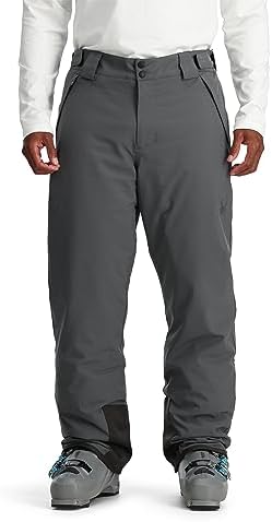 Amazon.com : Spyder Sentinel GTX Pants Black/Ebony LG R : Clothing