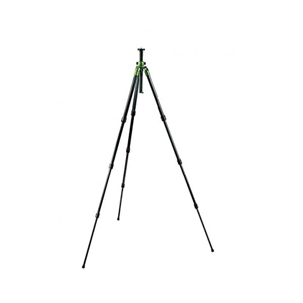 Gitzo GT1540F Safari Serie 1 Carbon 6X Stativ (Seg. 4)