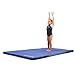 We Sell Mats Bi-Folding Crash Landing Mat Pad