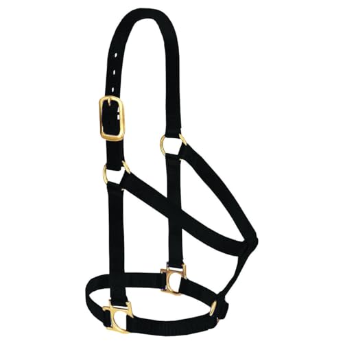 Weaver Equine - Cavezza per Cavalli in Nylon, Comoda Tessitura a Doppio Strato, Base Non Regolabile, per Cavalli, Taglia Media, Colore Nero