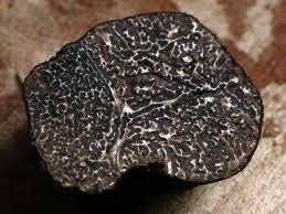 Tita Italian Fresh Winter Black Truffles, From Australia Melanosporum 2 oz.