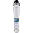 Mountain Pure 6000 Gallon Capacity Full Flow Filter System, MT6K-HF