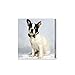 Personalized Picture/Photo to Canvas Print Wall Art - Custom Your Photo/Picture On Canvas Digitally Printed (8