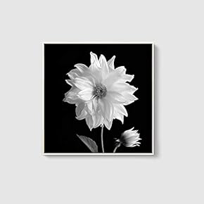 Framed Canvas Home Artwork Decoration Beautiful Flower Canvas Wall Art for Living Room, Bedroom - 16x16 inches