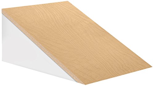 Salsbury Industries 22255MAP 15-Inch Wide Sloping Hood for 24-Inch Deep Extra W…