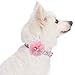 Blueberry Pet Made Well Cute Floral Print Adjustable Dog Collar in Light Blue with Pink Artificial Silk Flower, Medium, Neck 14.5