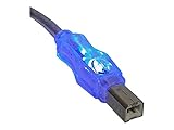 QVS 3-Feet USB 2.0 Translucent Lighted Cable with Blue LEDs (CC2209C-03BLL)