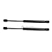 1999-2004 Jeep Grand Cherokee Front Hood Shocks / Supports / Gas Springs (Pack of 2 / Pair / 2pc)