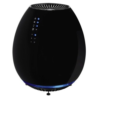 Buy Holmes Egg Air Purifier Black 3 Speed Fan Air Ionizer Vacuumable