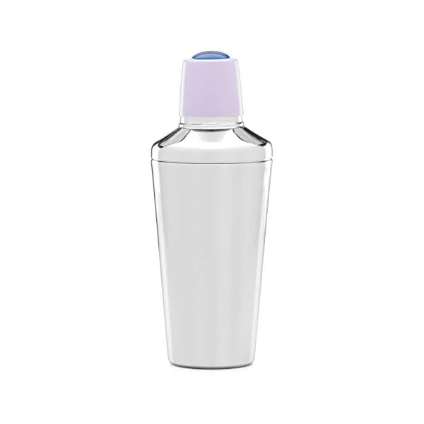 Kate Spade Nolita Cocktail Shaker, 0.90 LB, Metallic The Home Kitchen Store