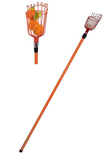 Professional Metal Fruit Picker with Long Telescoping 8ft Pole & Fruit Catcher - Reach Fruit up to 15ft without a ladder