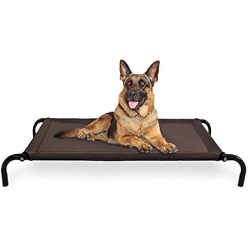 place boards for dog training