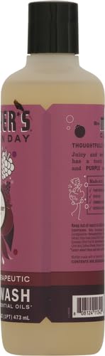 MRS. MEYER’S CLEAN DAY BODY WASH, PLUMBERRY, 16 FL OZ (PACK OF 1)
