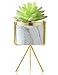 Succulent Planter Stand with Succulent Pot (3 inch Diameter with Drainage Hole), Set of Marble Design Ceramic Succulent Pot and Gold Iron Rack for Desk Table Windowsill Indoor Plant Decor