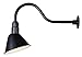 CANARM BL10WACBK Outdoor Aluminum Barn Light , Black , 10 Inch