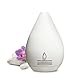 Nature’s Origin Aromatherapy Puredrop Travel Diffuser