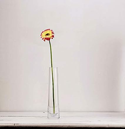 Solavia Clear Glass Hand Made Single Stem Flower Vase 27cm Amazon
