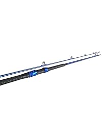 Okuma de aparejos de pesca csx s 1102mh Cedros Surf CSX Grafito Agua salada Spinning Varillas